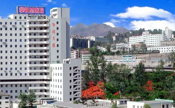 攀鋼集團(tuán)總醫(yī)院