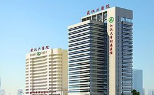 武漢市第六醫(yī)院