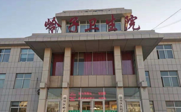 山東省淄博市淄川區(qū)嶺子衛(wèi)生院口腔科齙牙矯正技術(shù)怎么樣?180天矯正案例點評