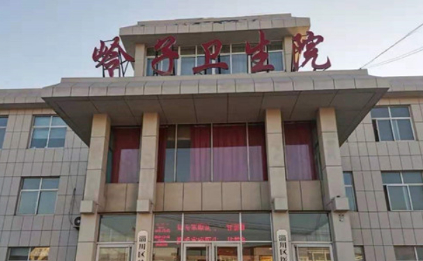 山東省淄博市淄川區(qū)嶺子衛(wèi)生院口腔科牙齒矯正技術(shù)怎么樣?案例測(cè)評(píng)&收費(fèi)標(biāo)準(zhǔn)