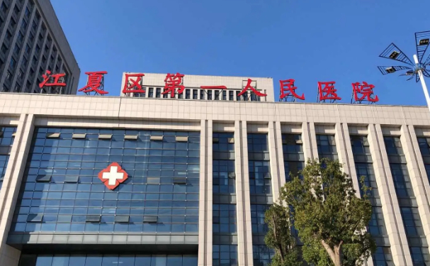 武漢市江夏區(qū)第一人民醫(yī)院